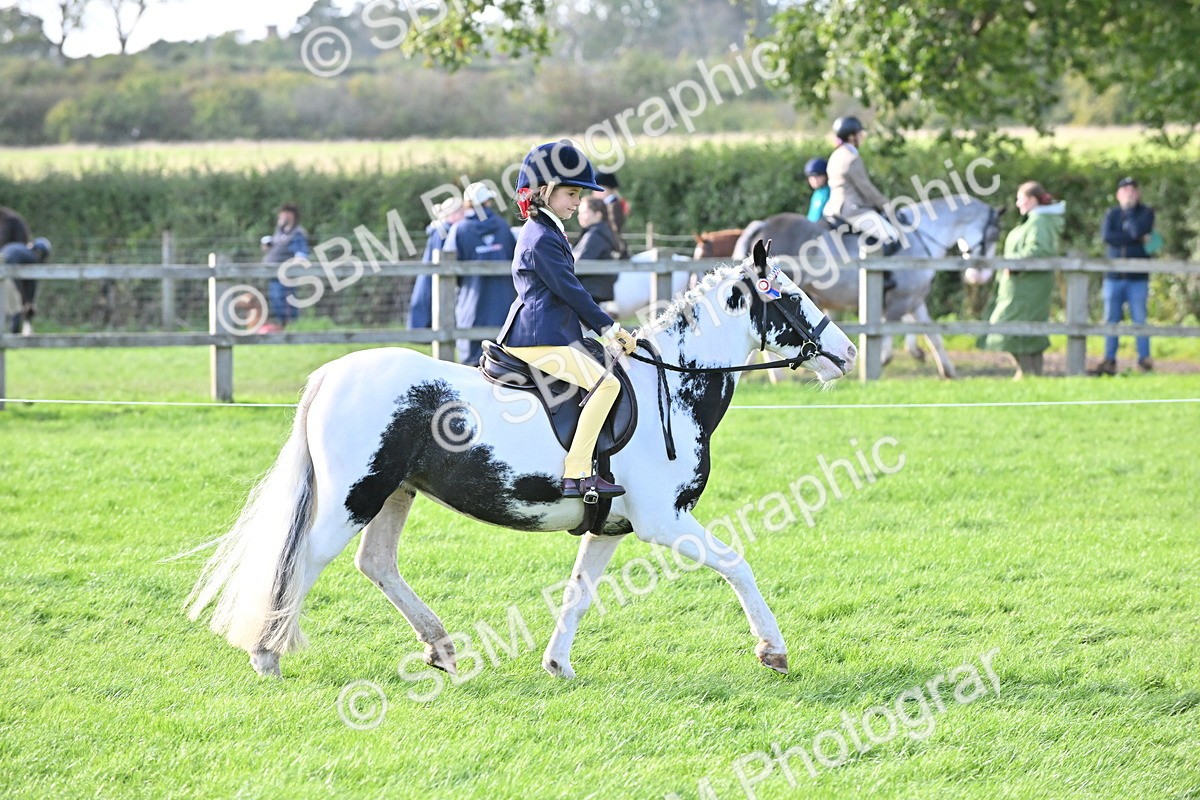SBM_51224 - S22 - First Ridden show and show Hunter Pony