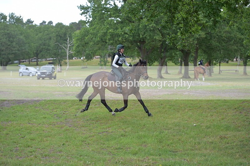 NGP_6902 - Time 11:01 to 11:09