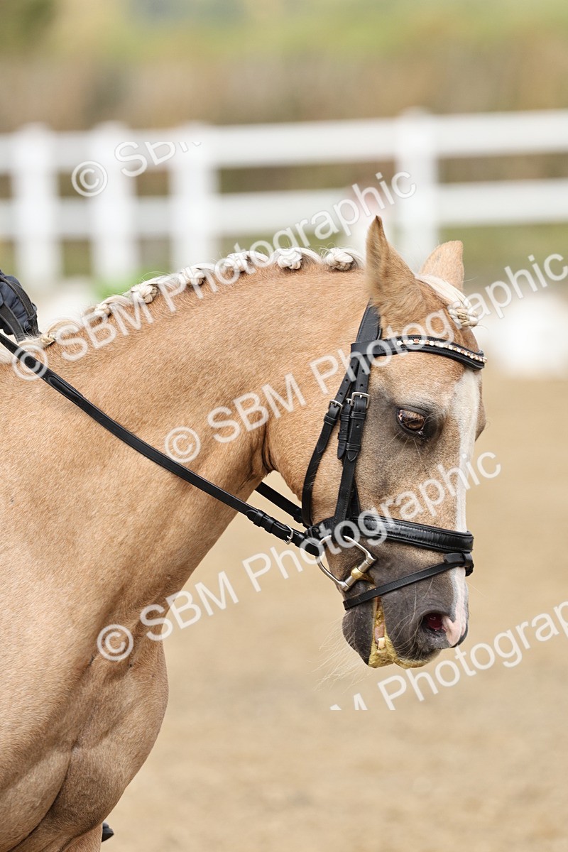 SBM_018217 - Class 16 - Novice 5 - 11.12-12.01