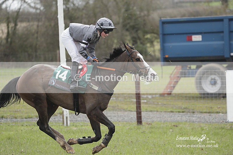 PtP 180323 182 - Shelfield Park Races with Croome & West Warwickshire Hunt  18/03/23