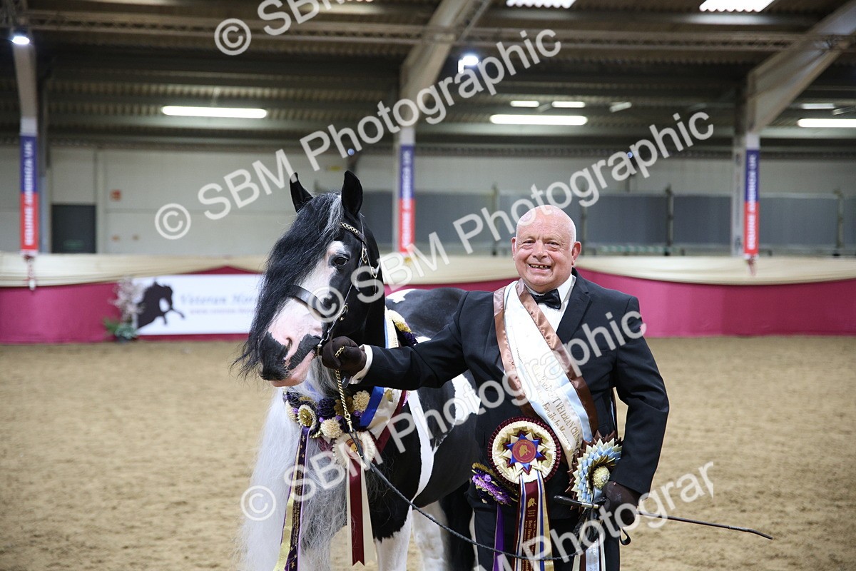 SBM_18635 - Class C Best Turned Out Champ
