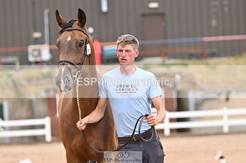 250716-155153-02246 - Trot Up 3.30 to 4.30