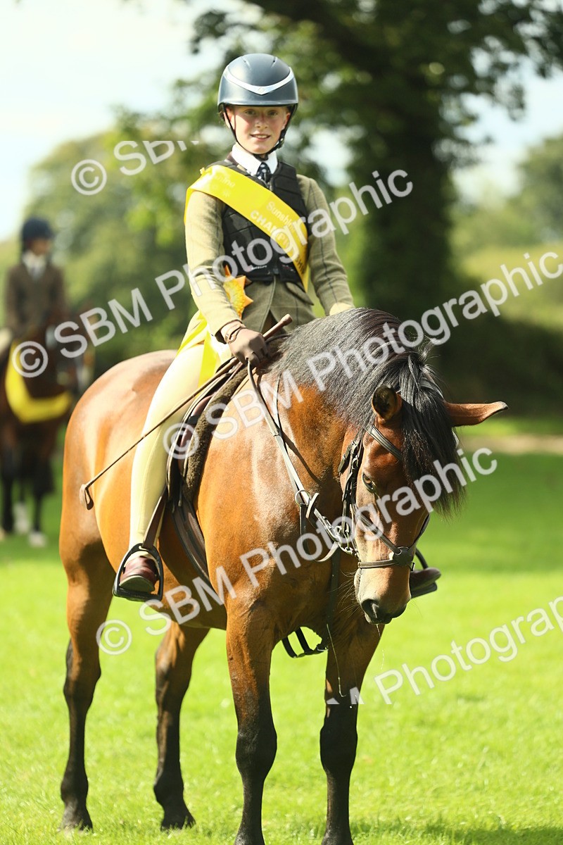 SBM_44958 - Working Hunter Pony Supreme Championship