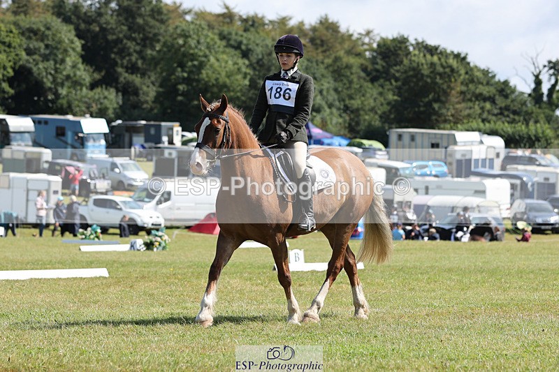 240824X-114649-26973 - D80 Section G and H 11.00 to 12.00