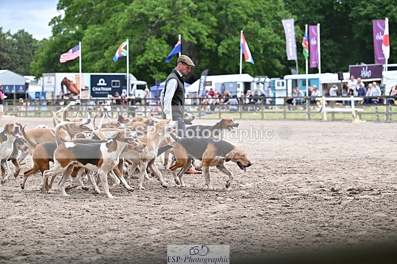 250524A-152217-12694 - East Devon Hounds