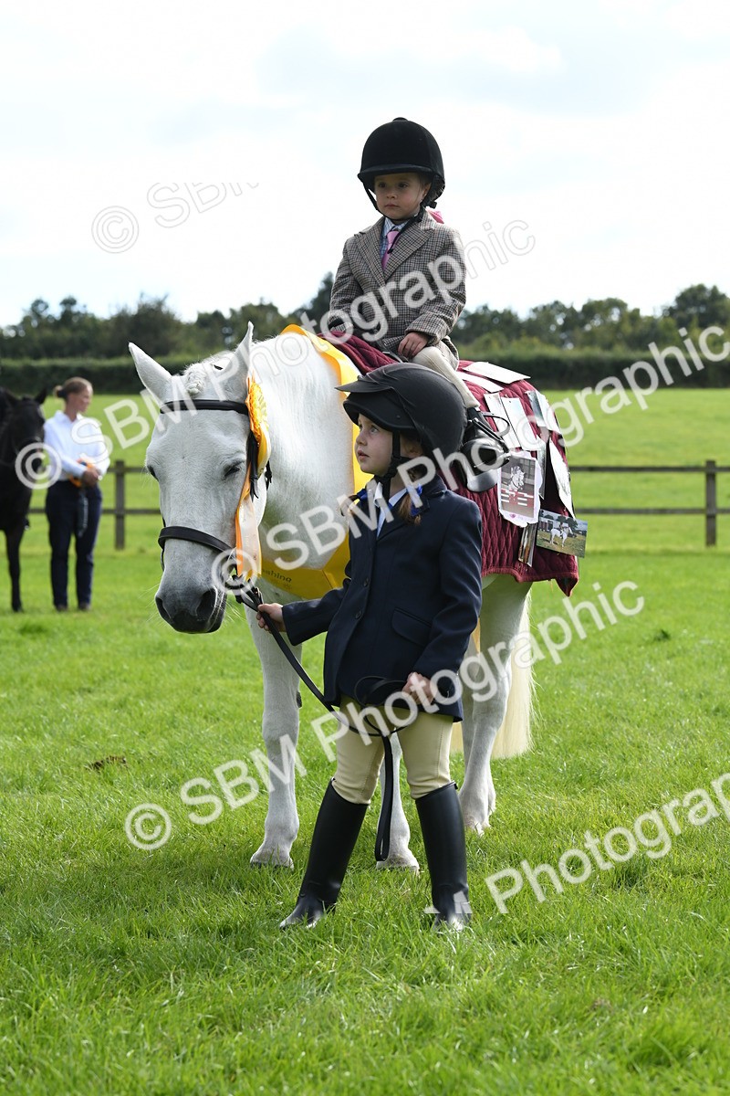 SBM_47247 - S12 - Family Horse & Pony