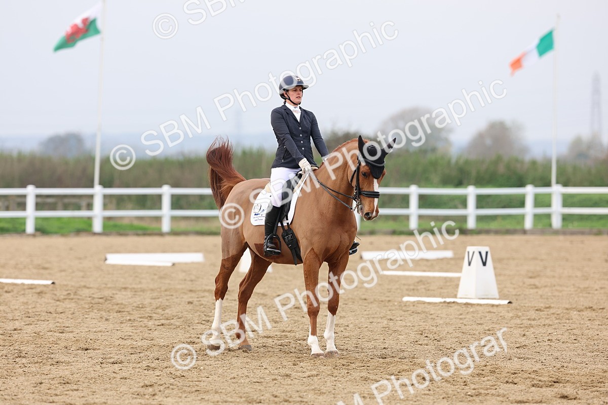 SBM_008445 - Class 11 - Medium 5