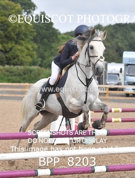 BPP_8203 - CLASS 13 SUN Pony BritiNovice / 0.80m Open