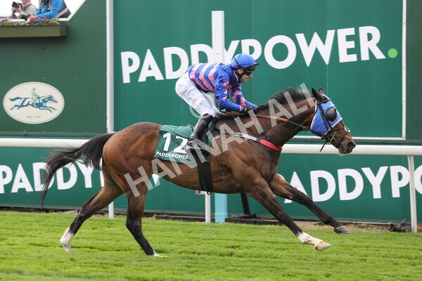 yr12052022r1-24 - Race 1 1.50pm Paddy Power 'Making Flat Less Flat' Stakes
