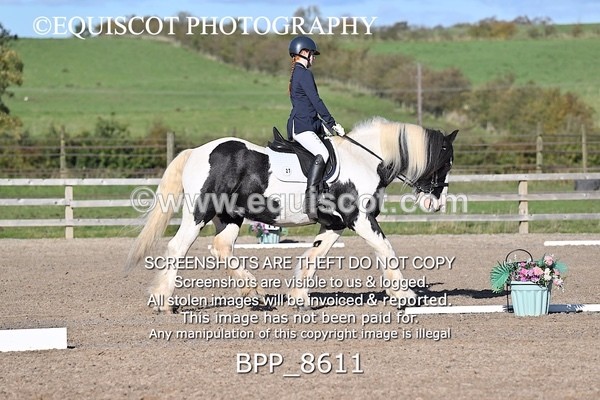 BPP_8611 - SHORT ARENA