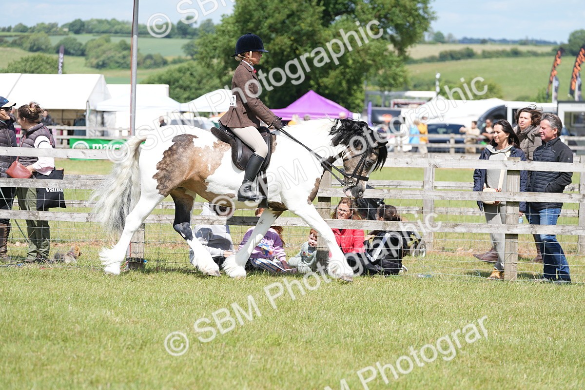 SBM_17111 - Class 107-108 - LIHS BSPS Performance Coloured Horse Pony