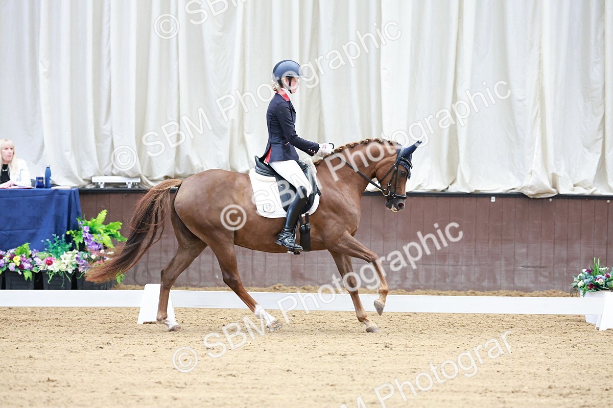 SBM_017193 - Class15 - FEI Pony