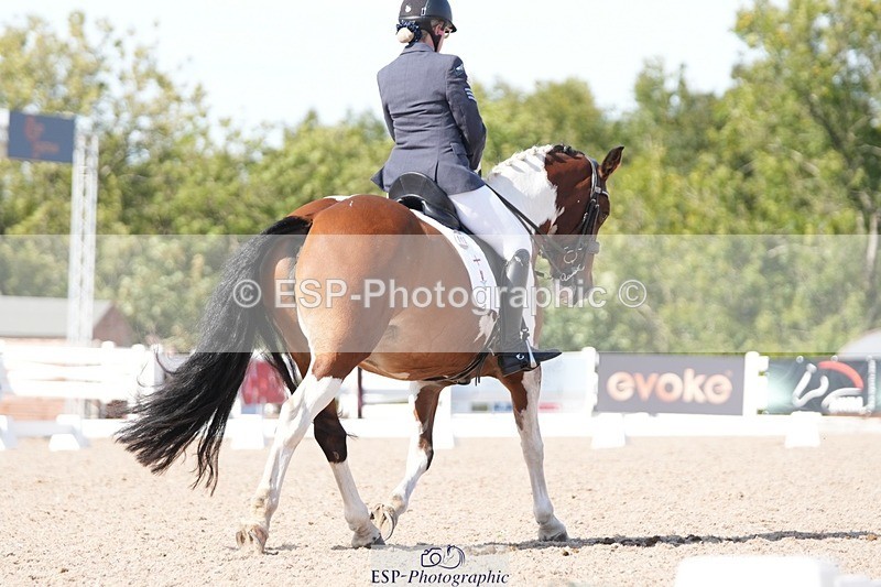 250906-151639-04710 - 112-Mel.DayDolderwydd.lucky.Maisie