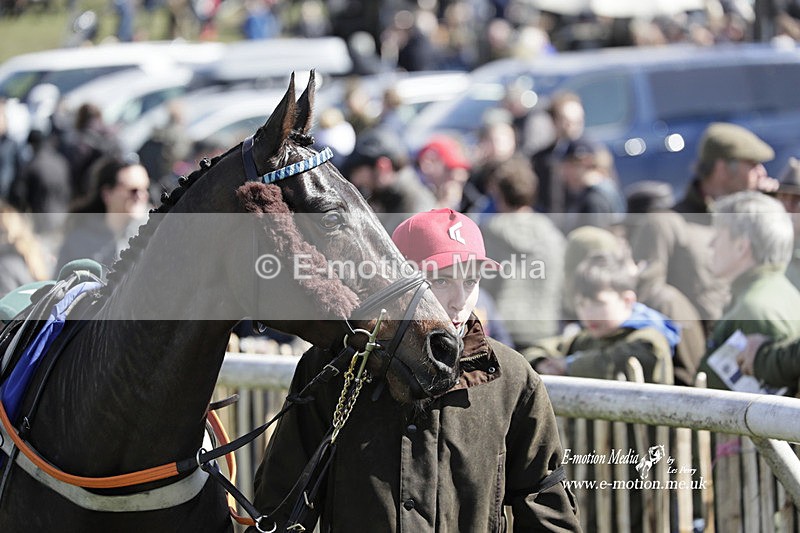 PtP 100423 476 - Old Berkshire Point-to-Point Lockinge 10/04/23