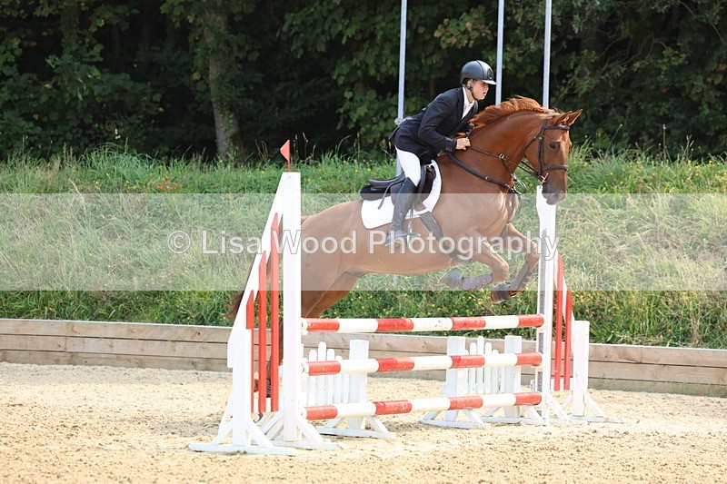 3E7A1252 - Class 4: Senior British Novice/90cm open