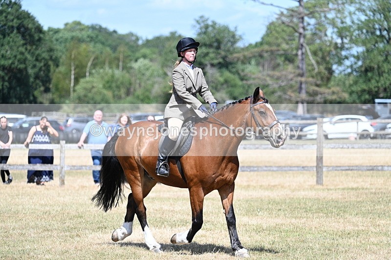 WJ7_3462 - Class 8 Ridden Veterans