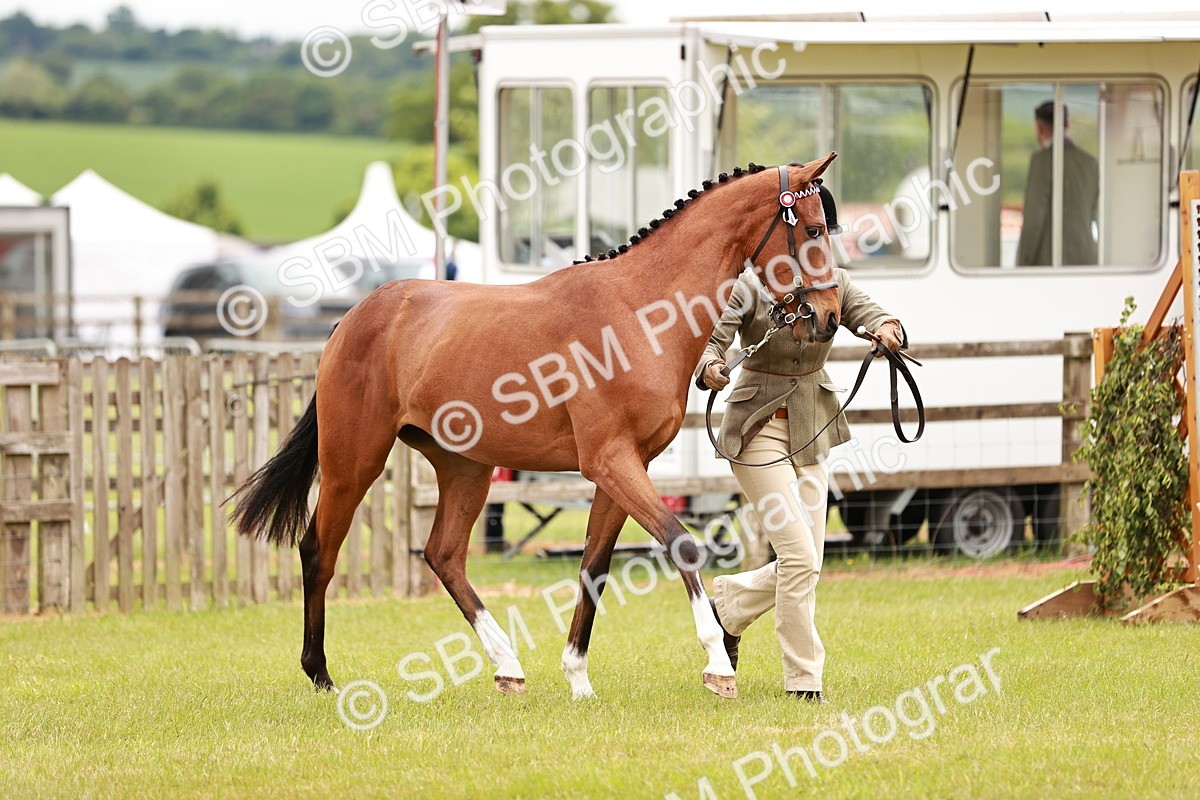 SBM_01705 - Class 31-34 Hack Breeding