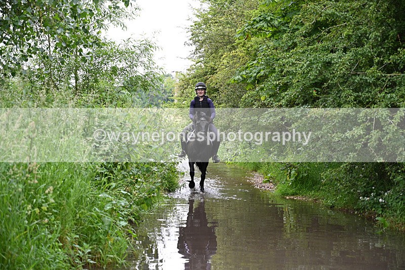 WJ7_2165 - Camera 2 Water Crossing