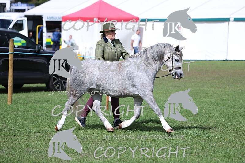 APP_3014 - Class 10a/b M&M in hand