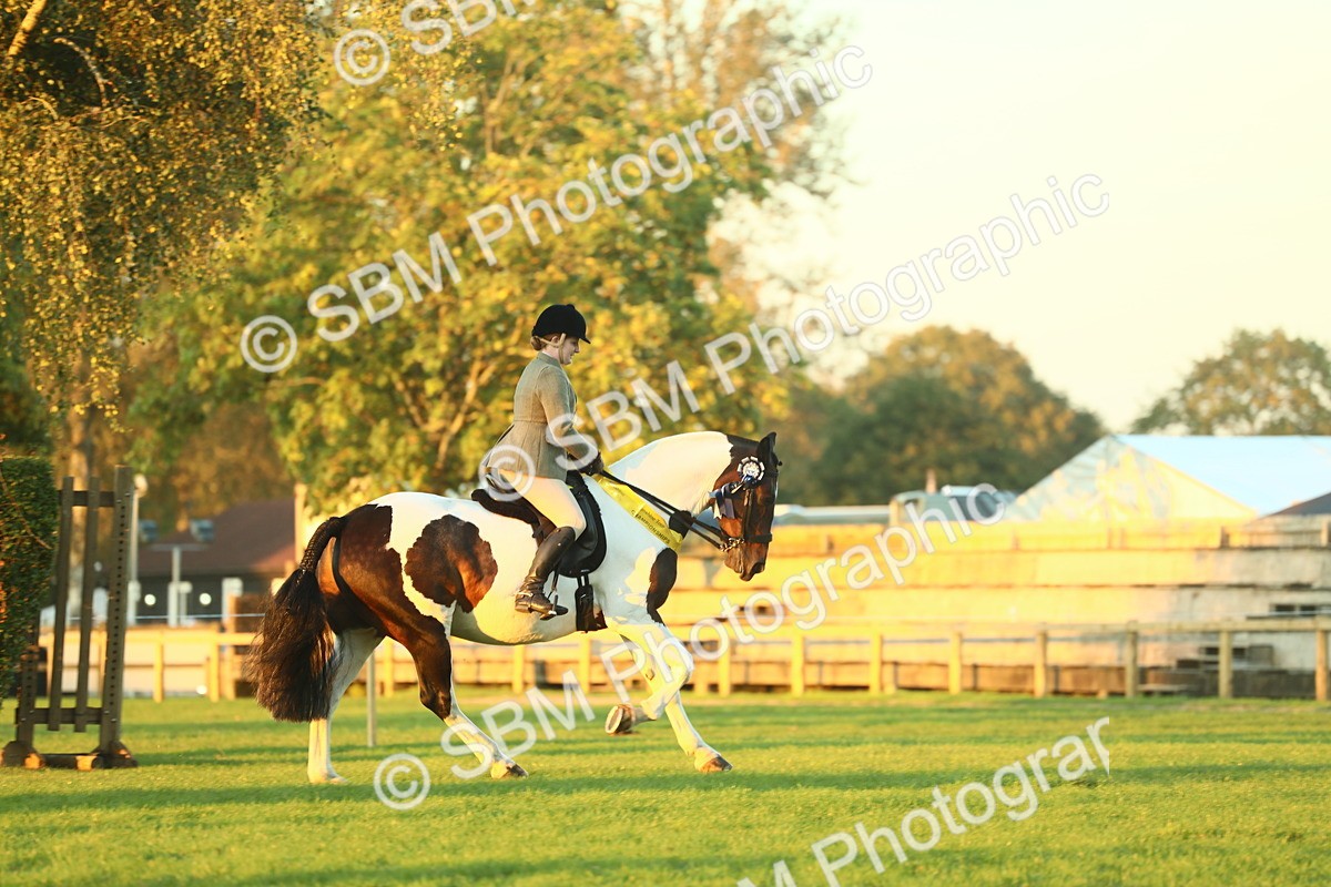 SBM_56724 - Fun & Versatile Supreme Championship
