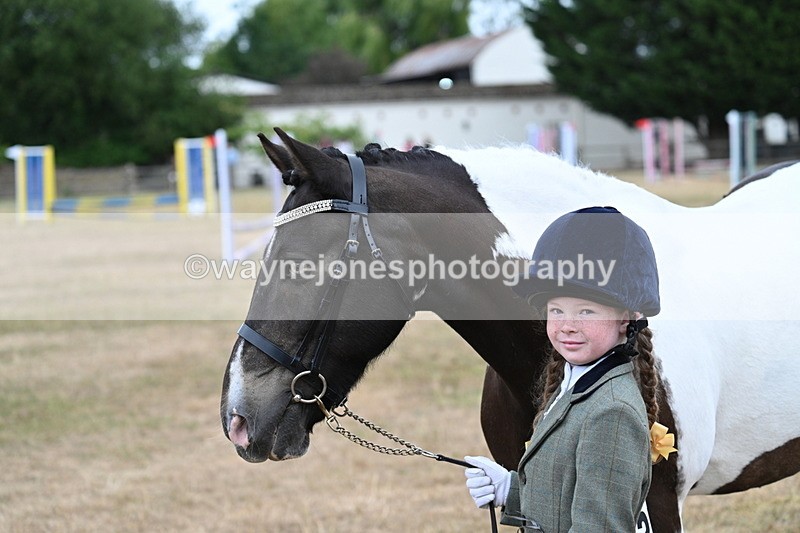 WJ7_9714 - Class 5 Most Handsome Gelding (up to 14.2hh)