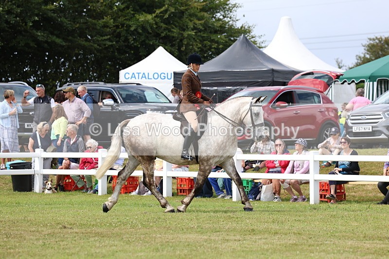 3E7A0452 - Rising Star Ridden Championship