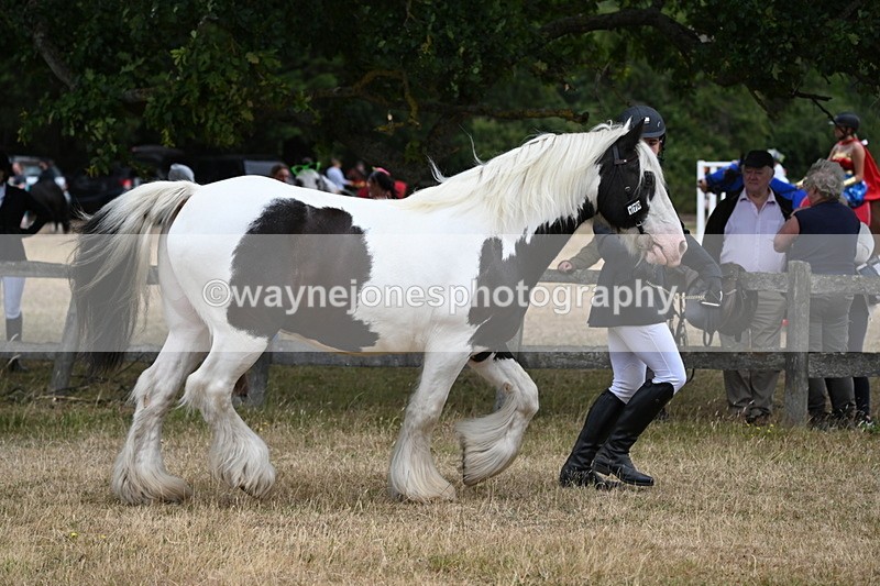 WJ6_8339 - Class 10 Coloured in Hand