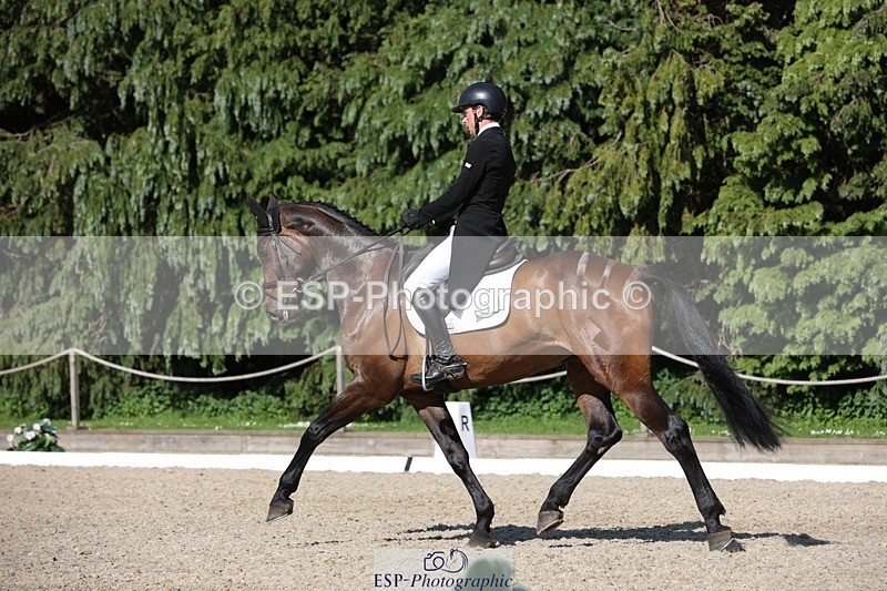 230526-165939-07883 - 174-LANCELOT_BMG-Alfie_Marshall-WEDTrotUp+DR