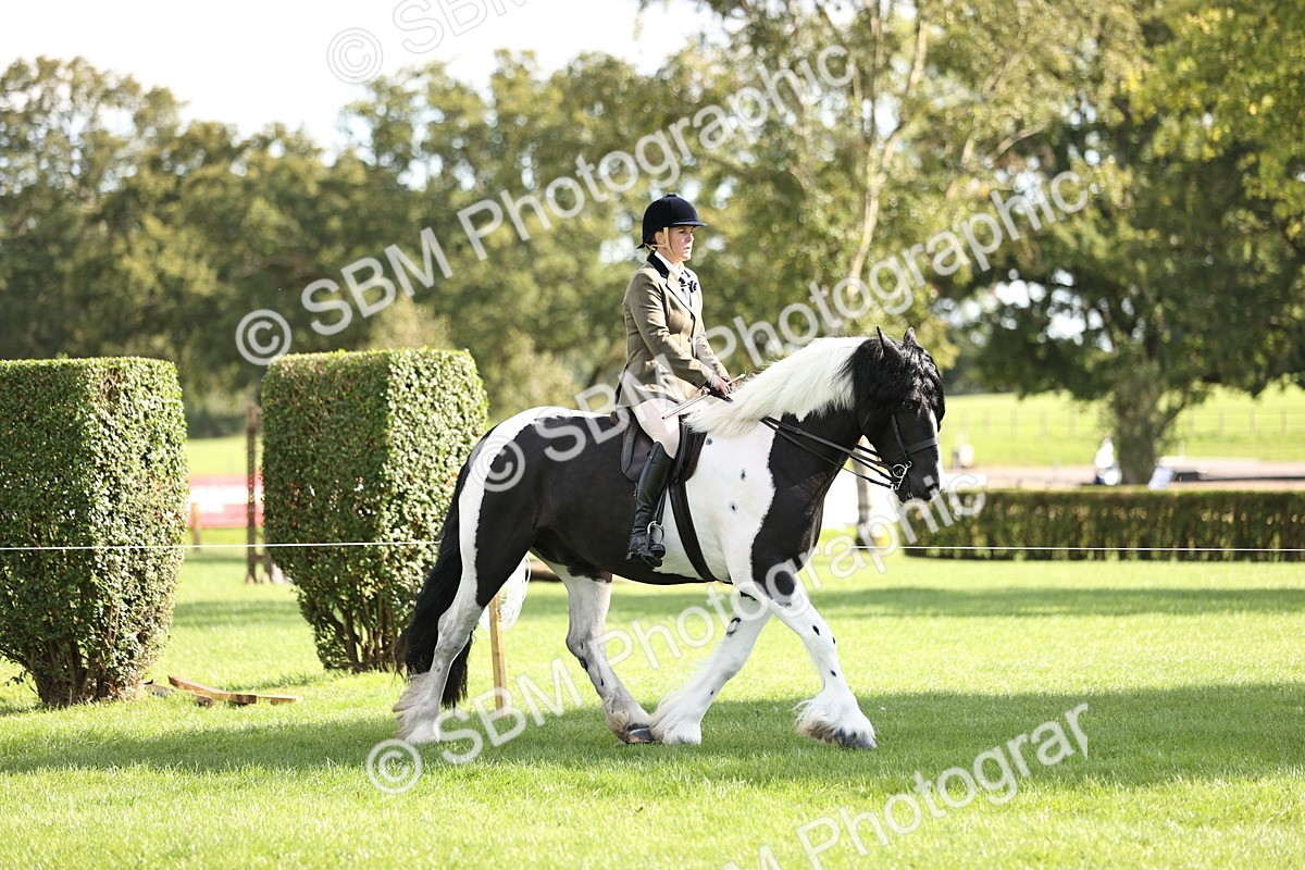 SBM_26367 - S6 - Novice & Newcomers Ridden Horse