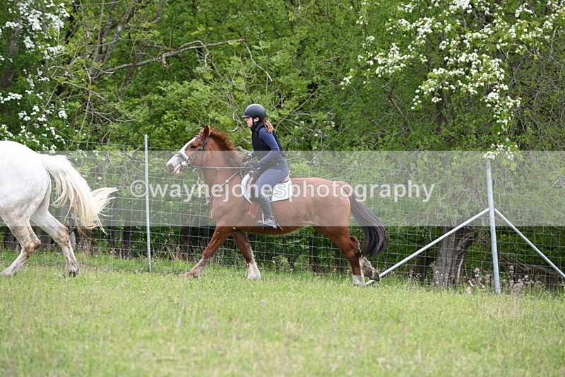 WJ6_1571 - Group 4 A&B Cameras