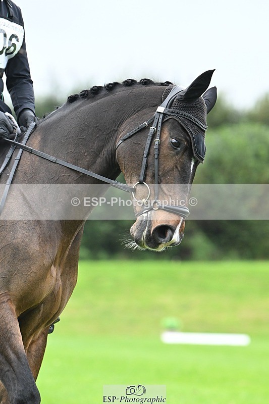 241024-100613-02927 - 406-Harvey.Crocker-THE.NIGHT.TRAVELLER