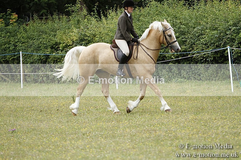 BVR160717-391 - Ring 3 BVRC Show 16/07/17