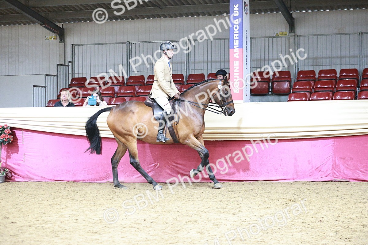 SBM_08767 - Class 12R - Regional Ridden Pre-Vet