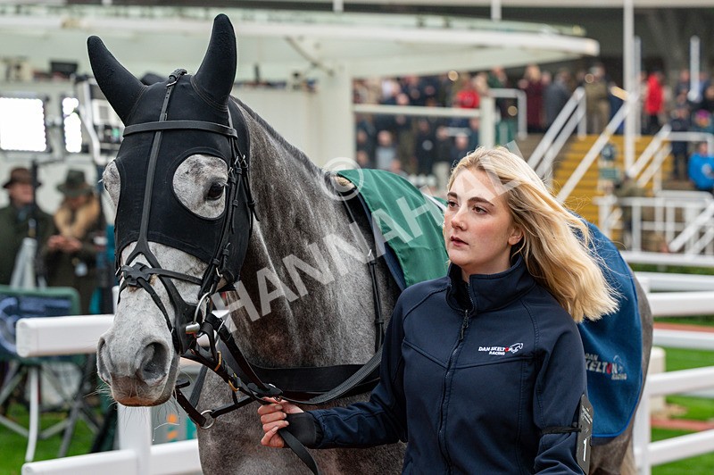 151125-Race 3-Be Aware-0861 - Race 3