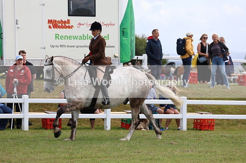 3E7A0641 - Rising Star Ridden Championship