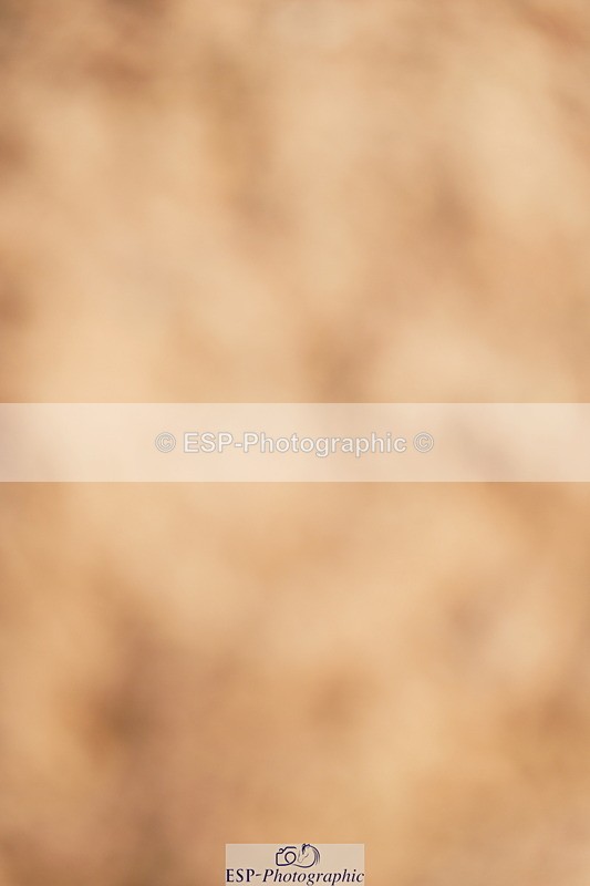 240526A-091250-07031 - Cls 30 Snr 1.20m Open