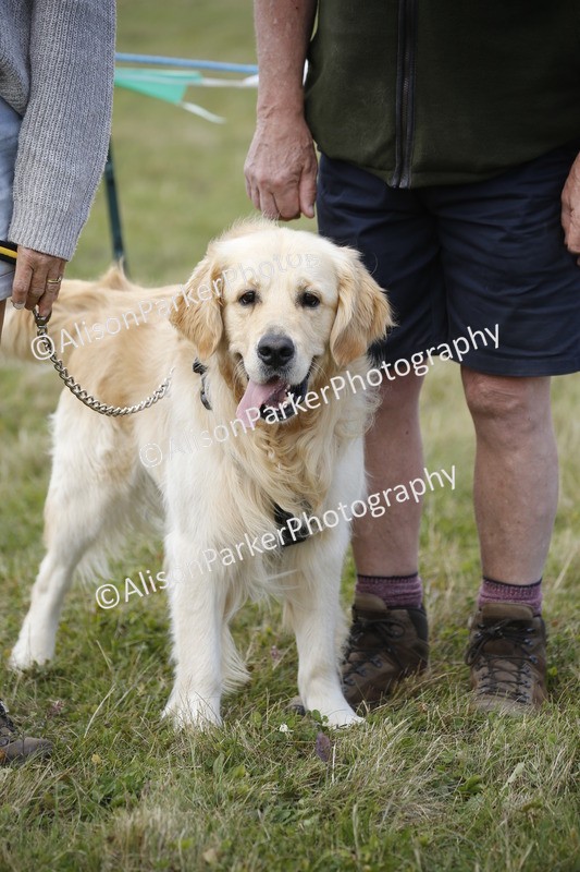 20250831-3631 - Dog Show