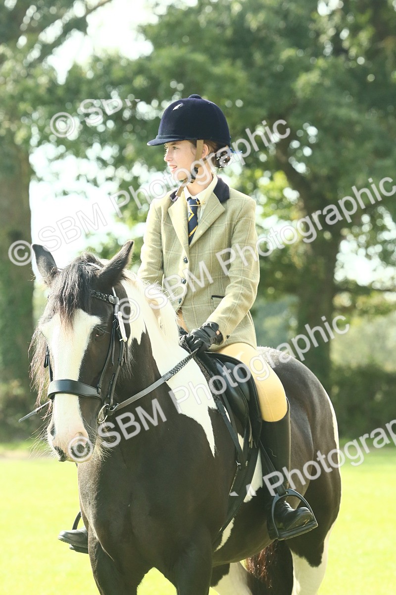 SBM_68954 - S58 - Mini Show Cob Ridden