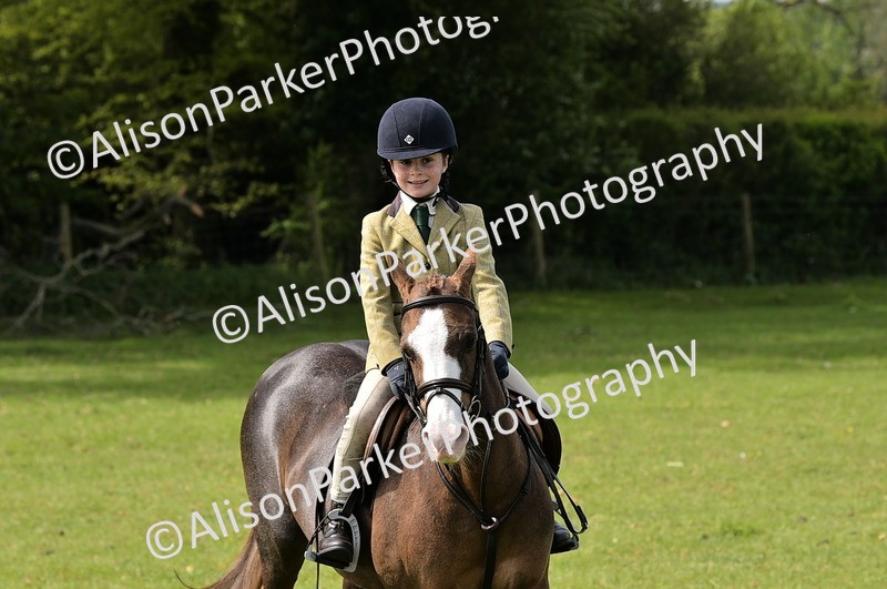 20260426-2271 - Class 20 - Beginner Working Hunter