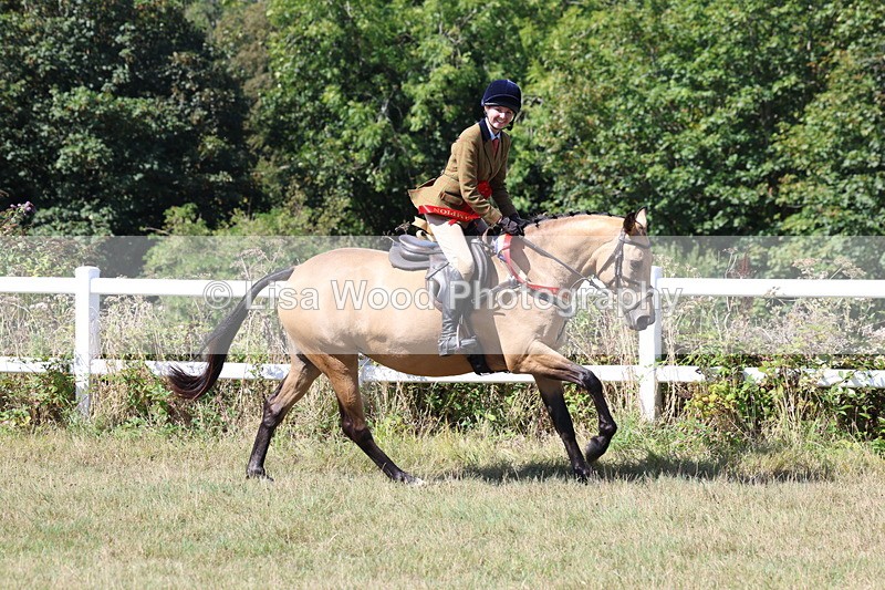 3E7A6491 - Working Hunter Championship