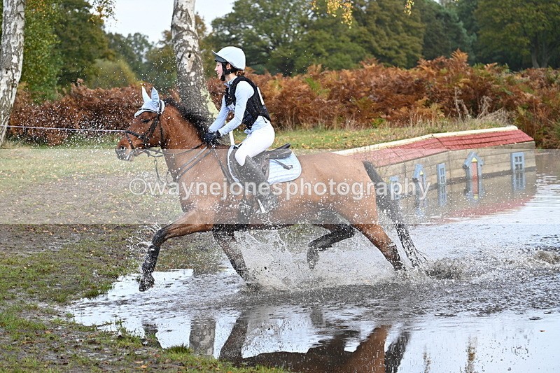 WJ7_0397 - 80cm Cam 2 Water Time 10:45 to 11:06