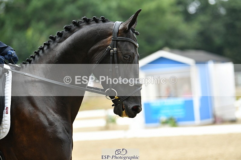 250718A-115053-01248 - 177-Harriet.Blair-Fairlight.Bizzy.Lizzy