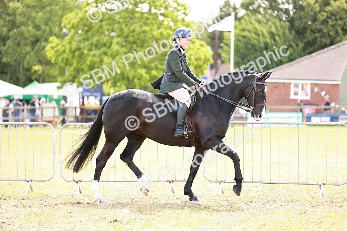 SBM_14517 - Class 88-89 - LIHS BSHA Rising Star of Ridden Hunter Type