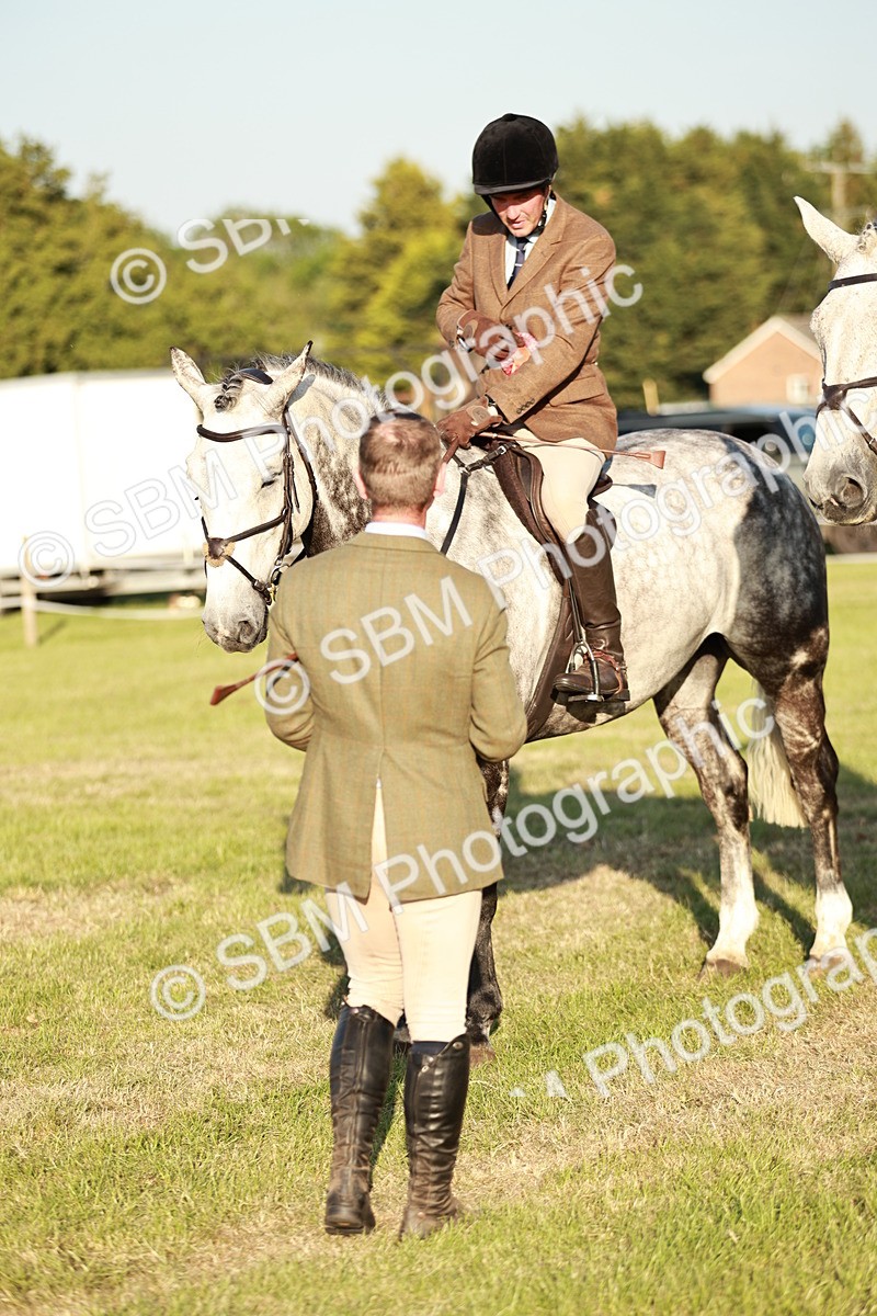 SBM_20562 - Class 117-119 - Sport Horse Working Hunter