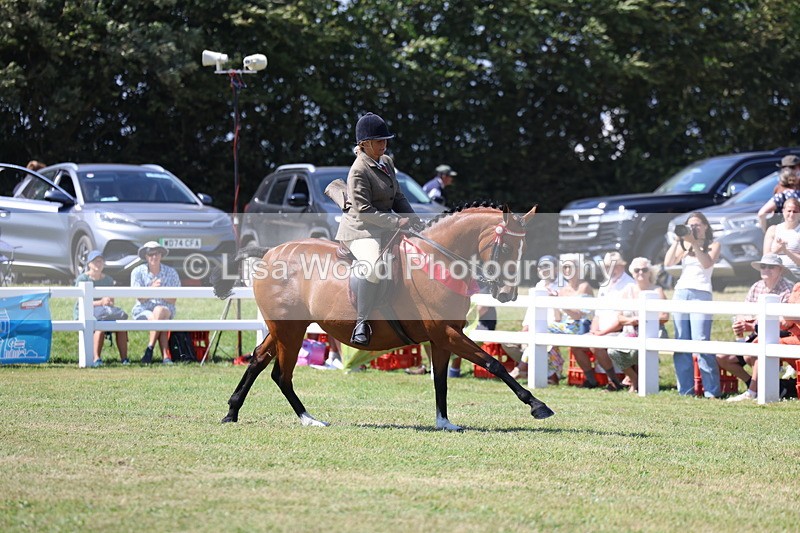 3E7A7630 - Rising Star Ridden Championship