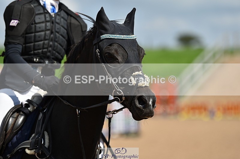 230902A-141610-01669 - Cls 3B Pony Medium 90cm