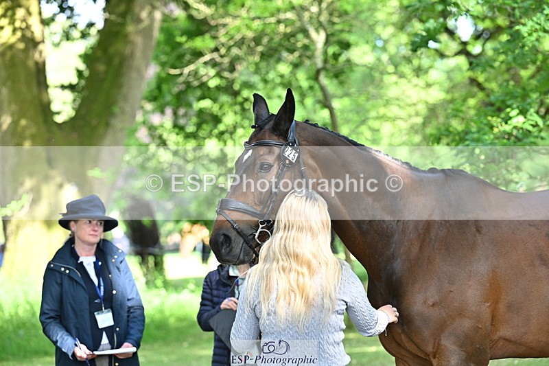 250521A-162828-01166 - C-225-Molly.Adams-QUINARA