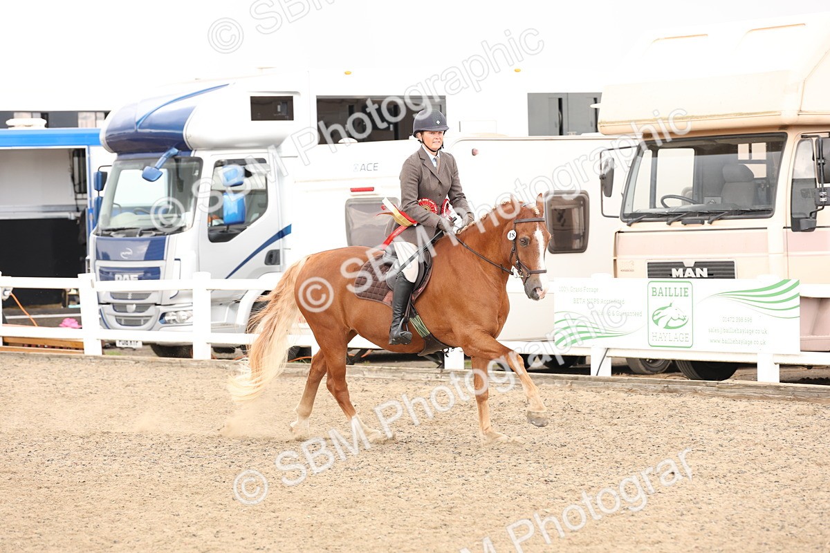 SBM_07522 - Class 59a -  Style & Performance - 80cm (15-19)