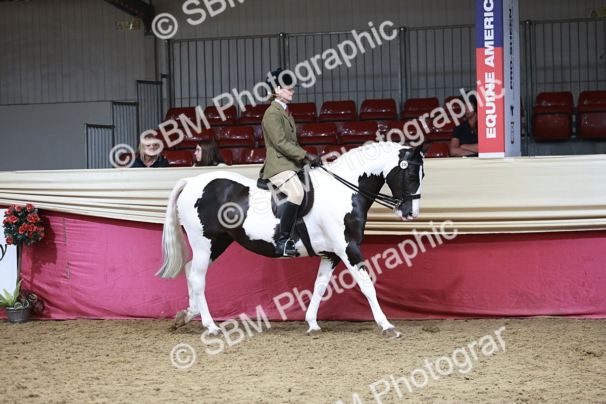 SBM_08783 - Class 12R - Regional Ridden Pre-Vet