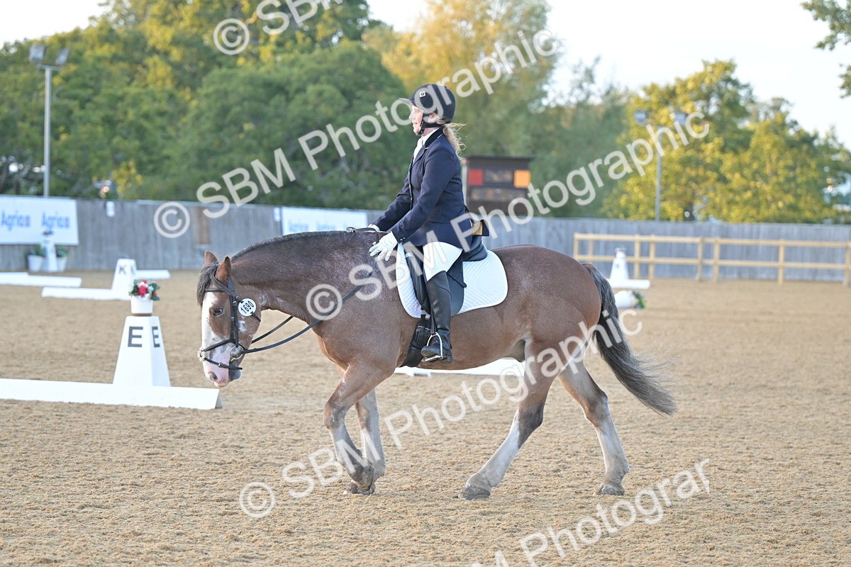 SBM_13555 - D3 - Small Tour Championship Intro 3